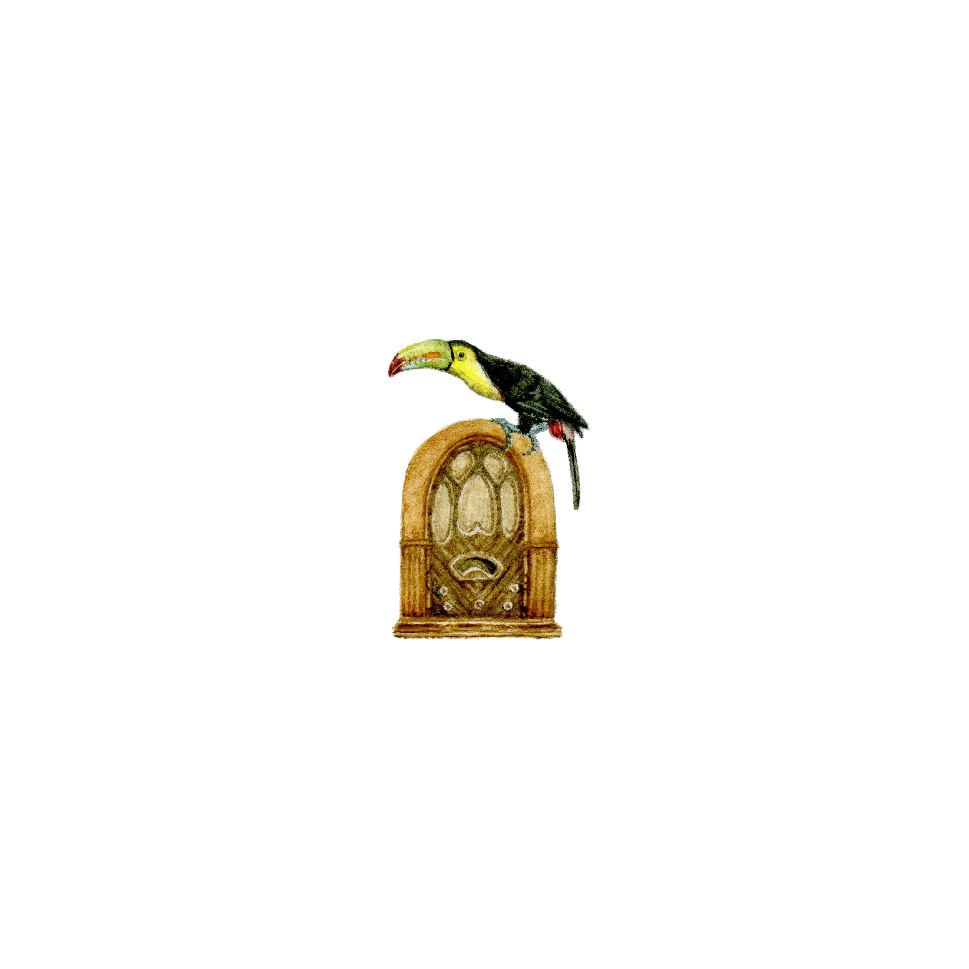 Wow, Toucan Really Dance